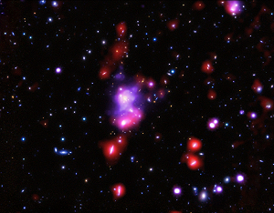 Cette image composite multi-télescopes combine des données en rayons X, infrarouge er optique de l'amas de galaxies XDCPJ0044.0-2033. Le violet/rose de cette image correspond aux émissions infrarouges mesurées par Herschel et aux émissions rayons X détectées par le télescope Chandra de la NASA. Les données infrarouges du télescope Herschel de l'ESA ont révélé l'endroit où la poussière interstellaire  est réchauffée par les étoiles jeunes chaudes au cœur de l'amas. C'est la première fois que cette formation d'étoiles a été trouvée au sein d'un amas de cette taille et de cet âge. Les données rayons X ont été utilisées pour cartographier la masse de cet amas géant. Ces données ont été combinées avec des images optiques et proche-infrarouge de l'amas prises par le télescope Subaru de  l'Observatoire Astronomique National du Japon ainsi que le VLT (Very Large Telescope) de l'ESO (European Southern Observatory), ces données ont respectivement été colorées en rouge, vert et bleu dans cette image. Crédit : rayons X : NASA/CXC/INAF/P.Tozzi, et al; Optique : NAOJ/Subaru et ESO/VLT; Infrarouge : ESA/Herschel/J. Santos, et al.