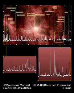 Spectre HIFI de l'eau et de molécules organiques dans la Nébuleuse d'Orion